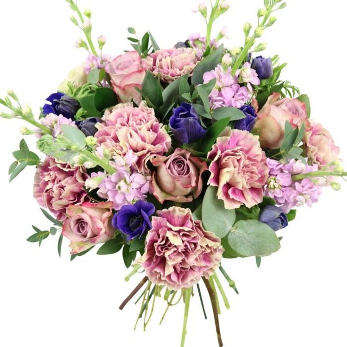 Photographed against a pure white surface, this lush bouquet appears almost sculptural, each bloom and leaf clearly defined, as if it were the centrepiece of a Camden loft filled with natural light. In the middle, garden roses in shades of blush pink, dusty mauve, and antique rose open wide, revealing tightly layered petals that create a soft, romantic focus. Surrounding them, numerous carnations build texture and fullness; their petals start in creamy beige and pale blush at the centre, then shift into deeper pinks and plum tones along their ruffled edges, catching light and shadow with every fold. Threaded among these are deep indigo-blue flowers, their tight, tulip-like buds adding pockets of dramatic colour that stand out against the gentler pastels. Near the front lower edge of the bouquet, a single royal blue anemone with a dark, nearly black centre acts as a focal point, drawing the eye and echoing the rich hues that might be seen in Camden's vibrant music posters. Rising gracefully through the composition, lilac and pale lavender stock flowers form slender spires dotted with tiny blossoms, bringing delicacy, height, and a garden-like freshness. Embracing all of this is a generous array of greenery: round, silvery eucalyptus leaves and darker green foliage that arcs outward, giving the bouquet a natural frame and suggesting a cool, refreshing scent. The stems, clearly visible and neatly tied at the base, affirm that this is a hand-tied arrangement, freshly prepared for delivery by Camden Florist to nearby homes and studios. The thoughtful blend of pinks, purples, blues, and greens makes this bouquet suitable for wedding anniversaries, milestone birthdays, new home celebrations, or expressing heartfelt condolences with grace.